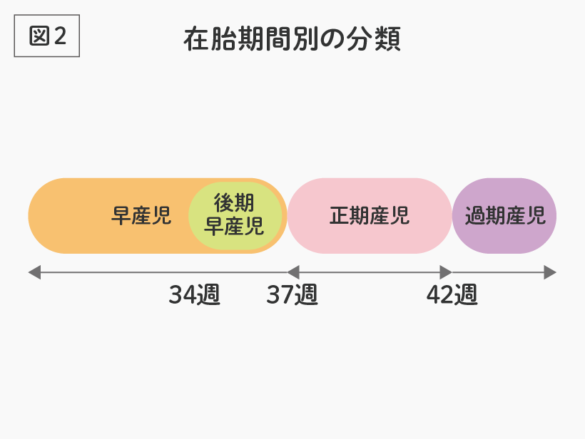 小さく生まれた赤ちゃんについて はじめてのnicu